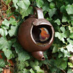 Teapot Robin nesting box gift